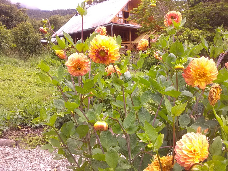 Montecito de Pacae - Cabañas