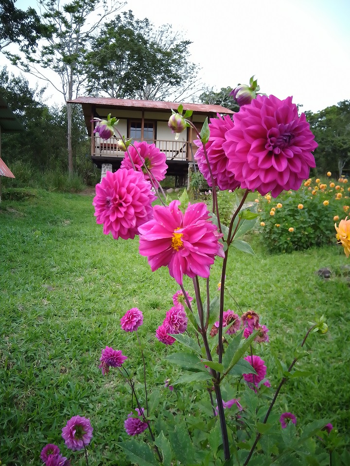 Montecito de Pacae - Experiencias