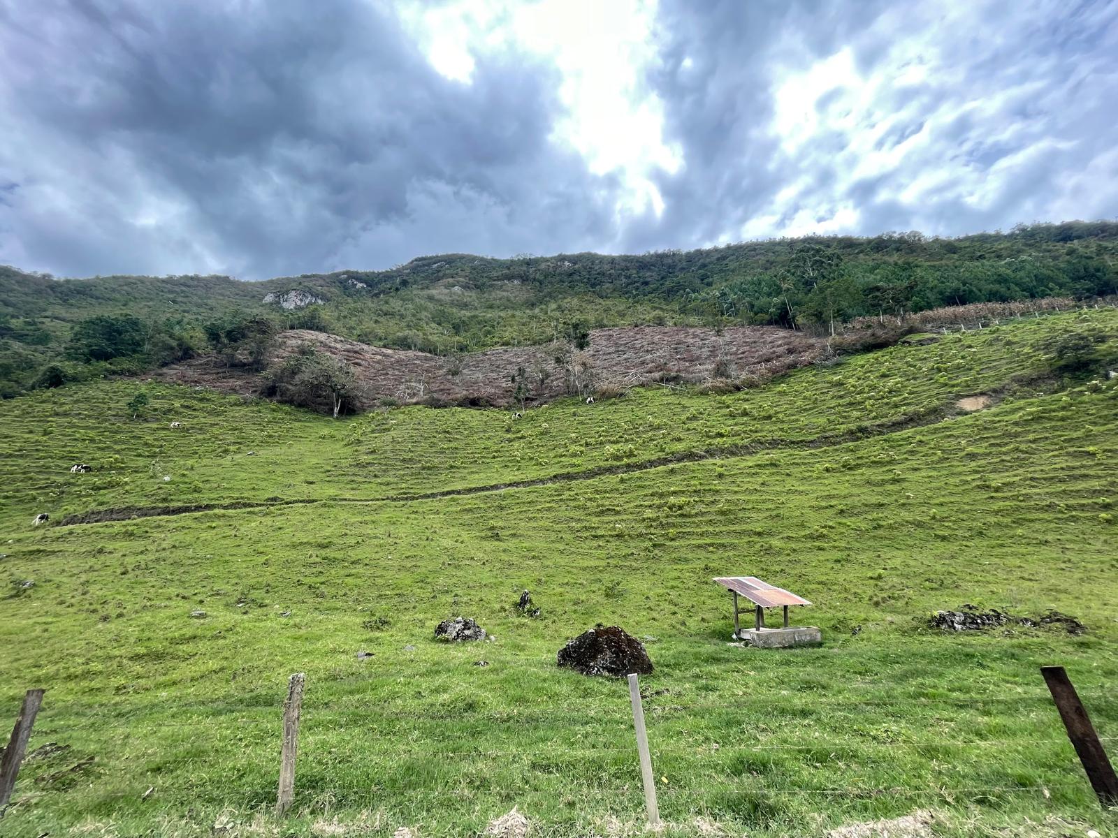 Puro pasto con suelos compactados, degradados y en puro sol